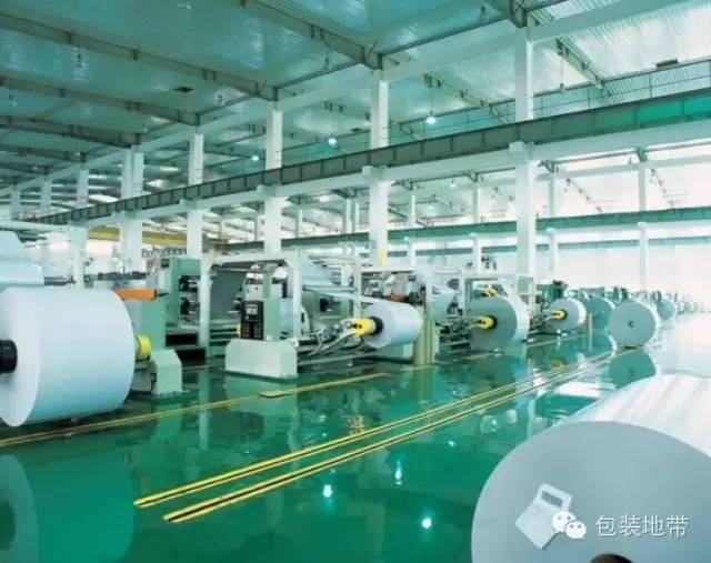 中国造纸行业的天花板究竟有多高？