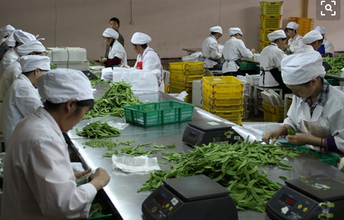 北京出台电商蔬菜分级包装技术规范